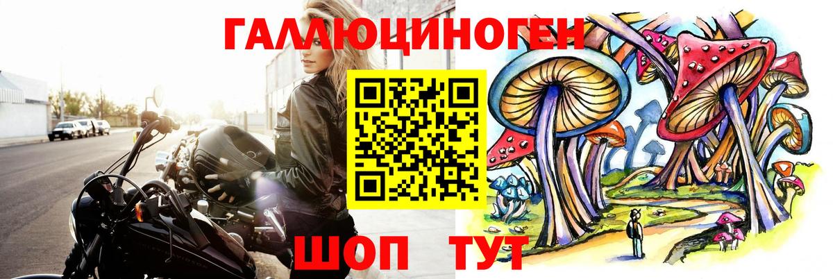 Галлюциногенные грибы GOLDEN TEACHER Кировск